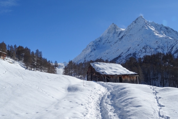 Sur la terrasse ensoleillée du Val d’Hérens
