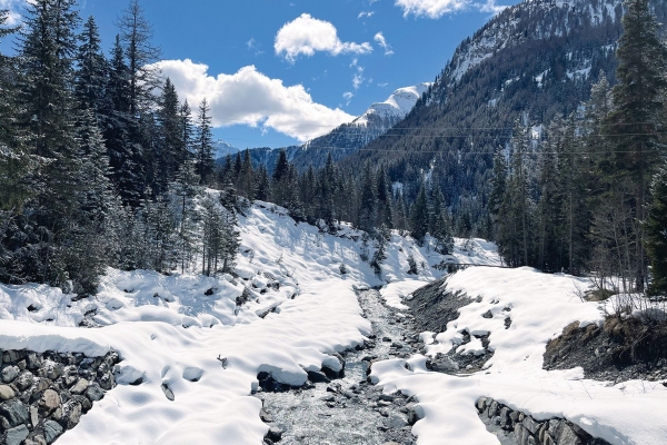 Schneeschuhtage Scoul