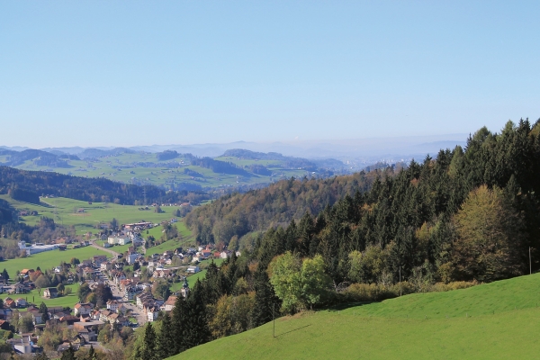 Vom schwarzen Bären nach Bühler