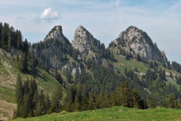 Goggeien (***/T2) Anmeldung ab 17. September möglich