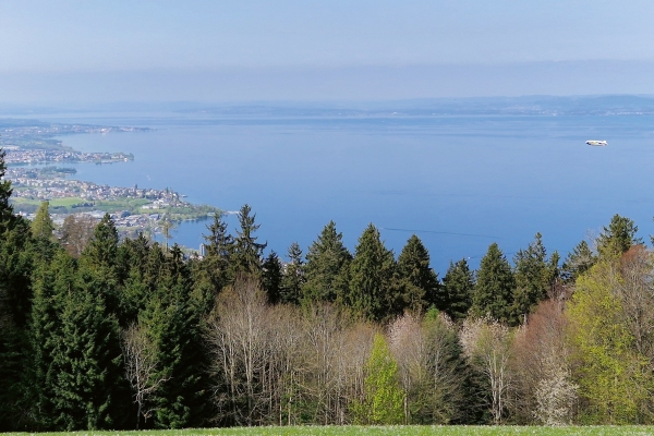 Über dem Nebel und dem Bodensee