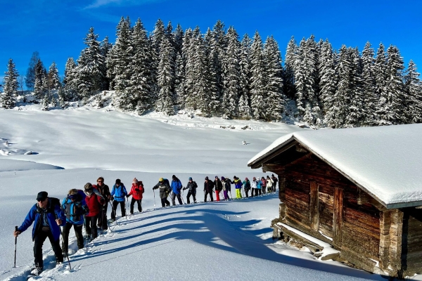 Schneeschuhwanderung Brünig-Feldmoos