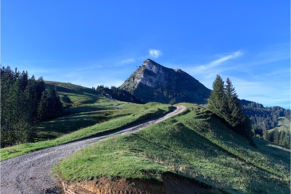 31. Le tour du Moléson