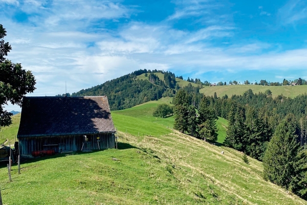 Auf der Hundwiler Höhe die Aussicht geniessen