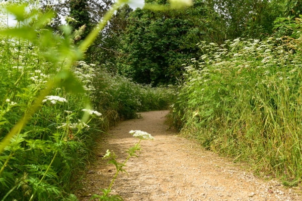 Auf dem Uferweg zum Baselbieter Hardwald