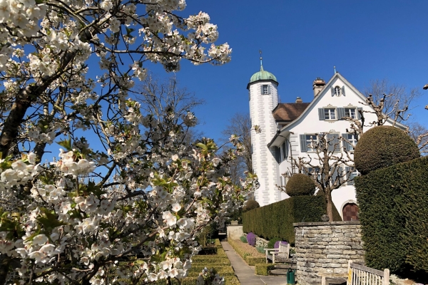 Halbtageswanderung in der Region Wil (Toggenburg-Fürstenland-Hinterthurgau)