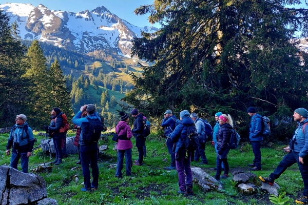 Morgenkonzert der Bergvögel (Vogelexkursion)