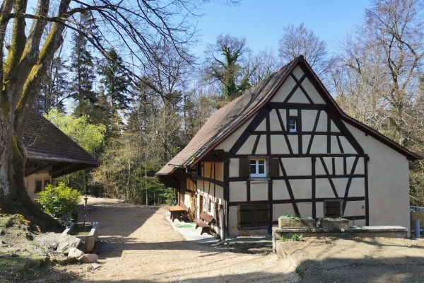 9. Rodersdorf SO/Elsass