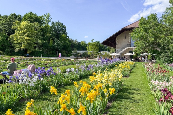 Au printemps près du canal de Sankt Alban