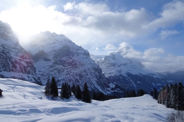 Schneeschuhwanderung Scheidegg-Rychenbachtal