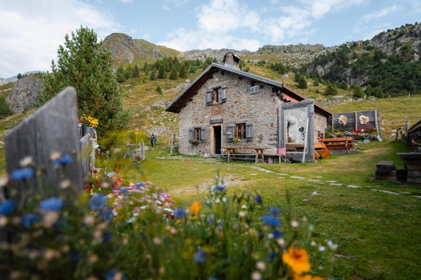 Bergsee und Arvenwald hoch über Bivio