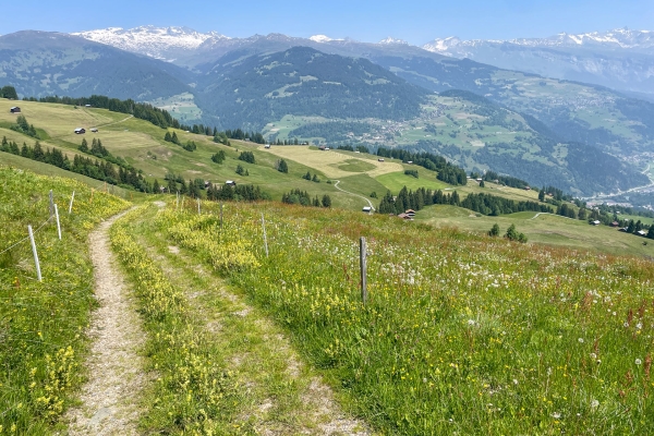 Sur le flanc du «Rigi des Grisons»