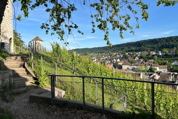 SCHAFFHAUSEN: RHEIN UND MUNOT