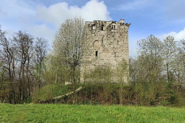 Auf den Spuren der Kyburger und Habsburger