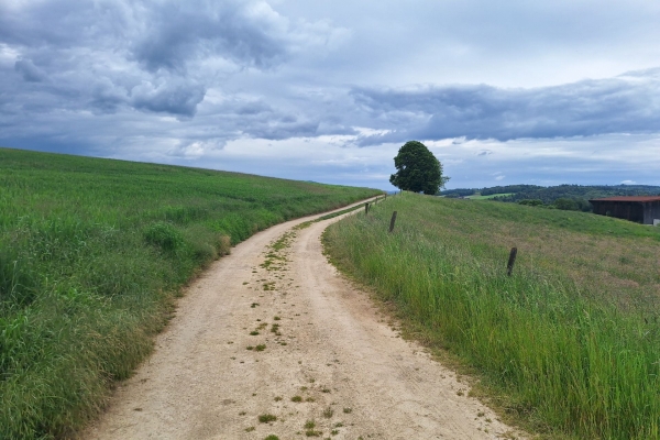 Belle quiétude en Ajoie, sur le chemin des Crêtes du Jura