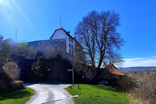 10. La bataille de Bramberg (BE)