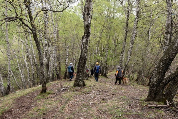 Attraverso i villaggi e i boschi di castagni del Ticino
