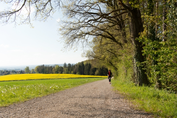 De Weinfelden à Frauenfeld