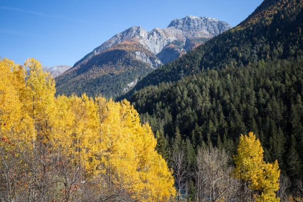 Les sgraffites de la Basse-Engadine