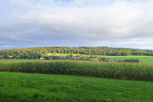 À travers l'Ajoie entre prairies, forets et temps immémoriaux