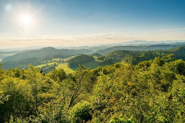 Wandernacht (***/T1)