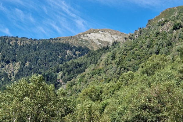 Mezzovico-Monti-Mezzovico