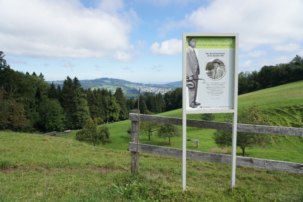 Halbtageswanderung in der Region Wil (Toggenburg-Fürstenland-Hinterthurgau)