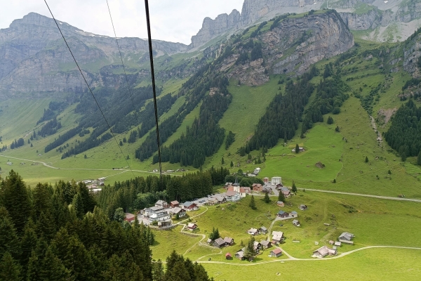 Exkursion/Wanderung Schächental für Wildliebhaber und Wildliebhaberinnen