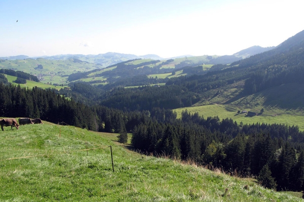 Hoch zu den Geissen