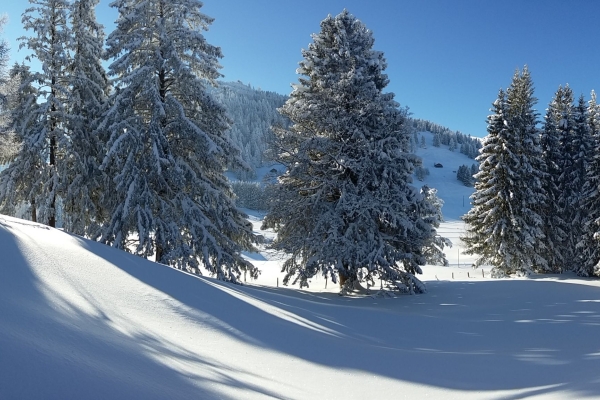 Stromgewinnung am Rheinwald