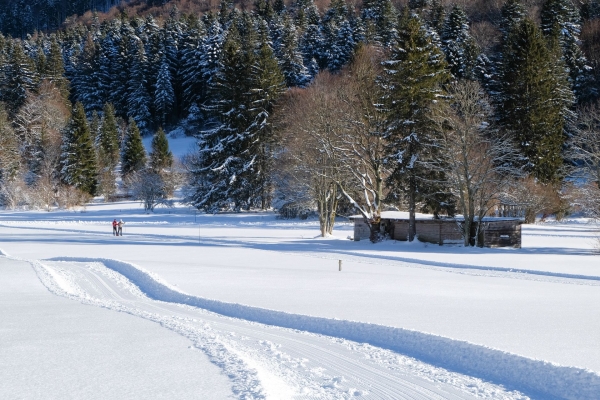 Sous le Chasseral, au-dessus du brouillard