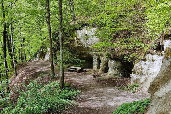 58. Den Frienisberg entdecken