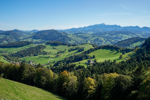 Du côté saint-gallois du Tössbergland