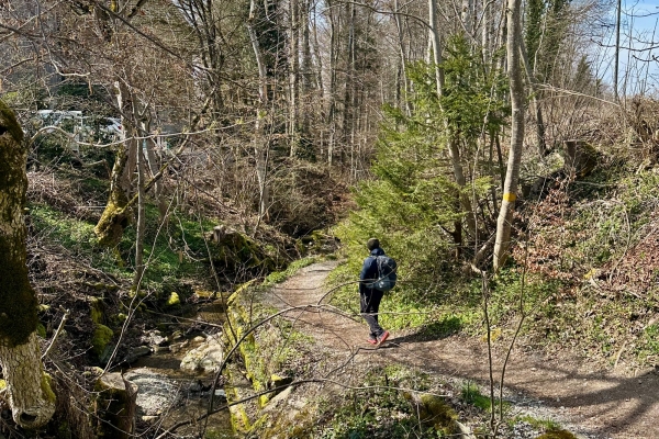 Zürich Wander-Opening 2026