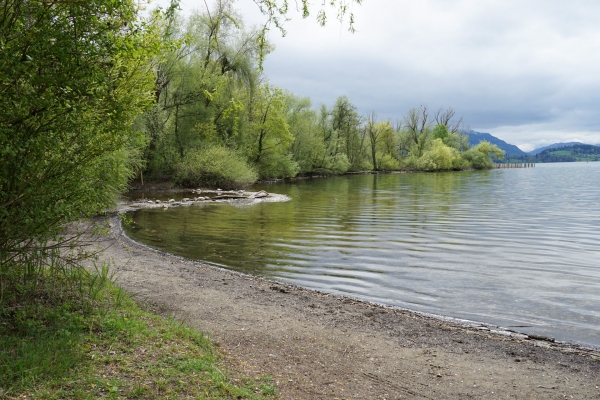 Histoire industrielle zougoise