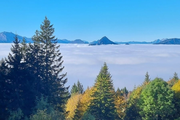 Gratwanderung ins Hoch Ybrig