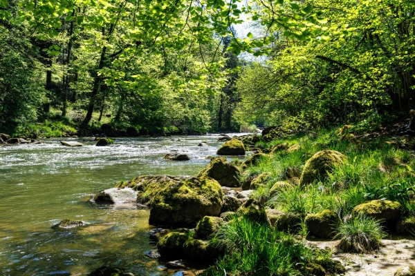 Frühlingswanderung durch Moränenlandschaft