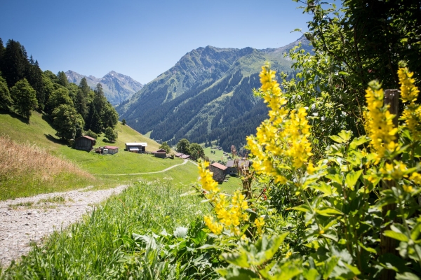 Frühlingsrunde rund um Klosters
