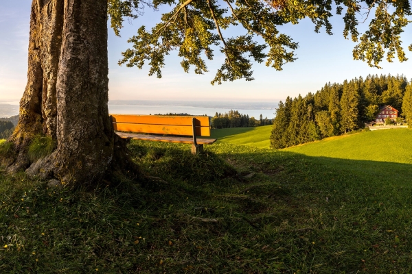 Vom Fusse des Säntismassivs auf die Terasse über dem Bodensee