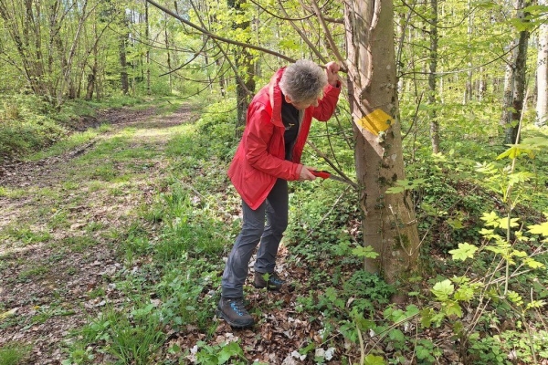 Wanderwege - Highlight Wanderung