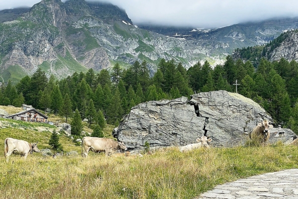 Bergtrekking vom Nufenen zum Simplonpass