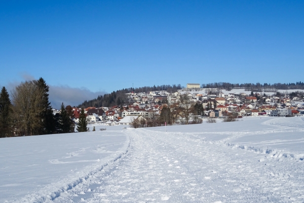 Randonnée hivernale dans les Franches-Montagnes