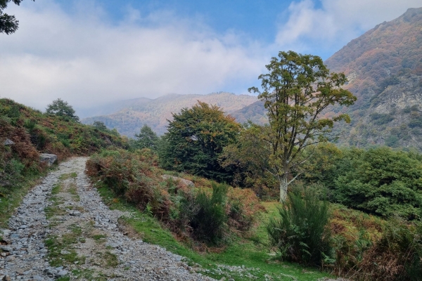 Mugena, scoltando per l'Alpe Agario