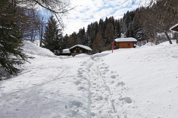 Randonnée hivernale au pied des Muverans