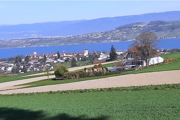 11. La forêt domaniale du Galm