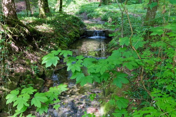 De la vallée de la Thur au lac de Constance