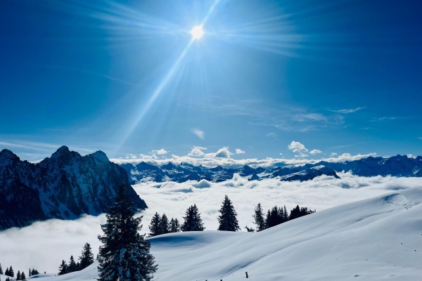 Panorama Schneeschuhwanderung über Spilmettlen und Hochstuckli SZ