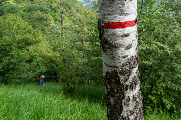 Salire alle Cave di Arzo