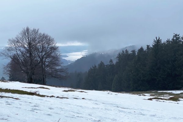 Schneeschuhtour Tanzboden Aussicht auf den Zürichsee und Bodensee