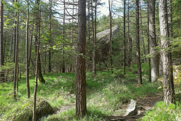 Su e giù nella zona della frana di Goldau